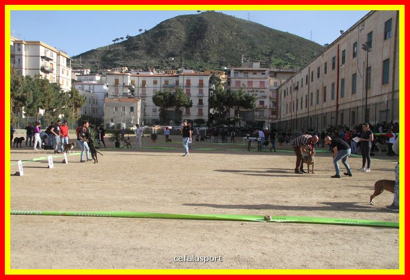 180311 mostra_canina 161.jpg